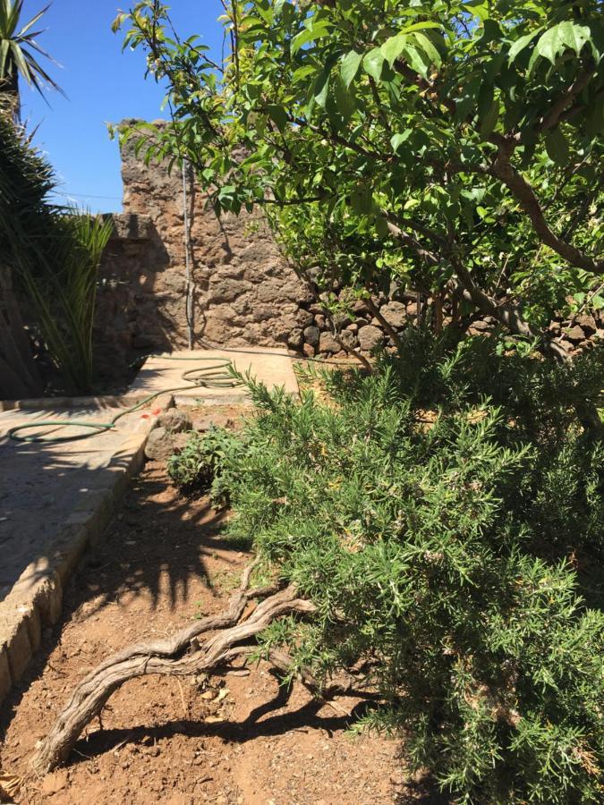 Cactus B&B Le Casette Di Marilena Pantelleria Bagian luar foto